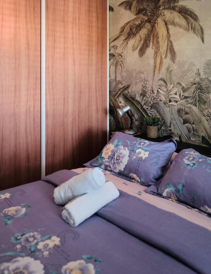 Apartmán Appart'Eden : Vue Panoramique Sur Saint-Denis Sainte-Clotilde Exteriér fotografie